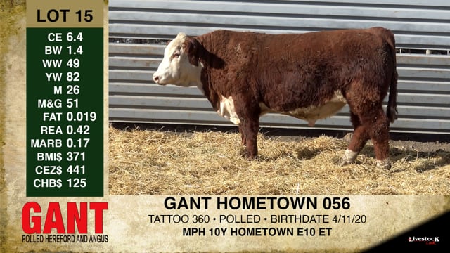 Lot #15 - GANT HOMETOWN 056