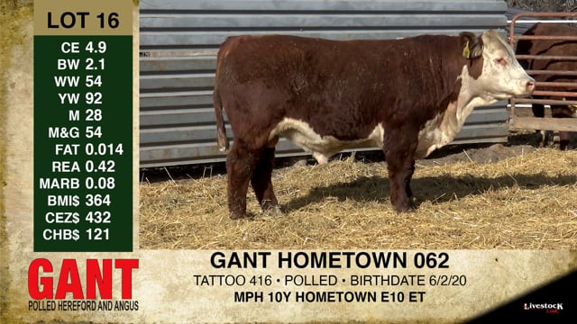 Lot #16 - GANT HOMETOWN 062