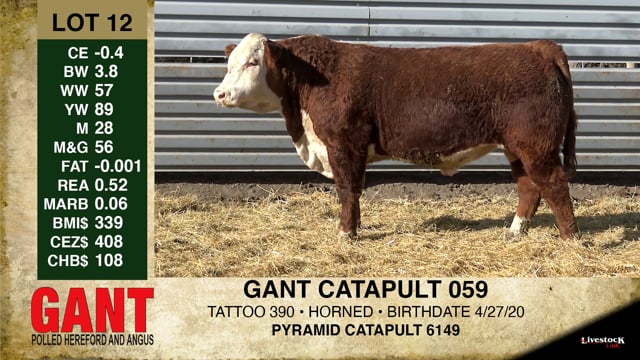 Lot #12 - GANT CATAPULT 059
