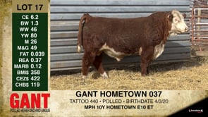 Lot #17 - GANT HOMETOWN 037