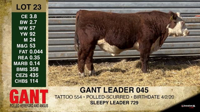 Lot #23 - GANT LEADER 045