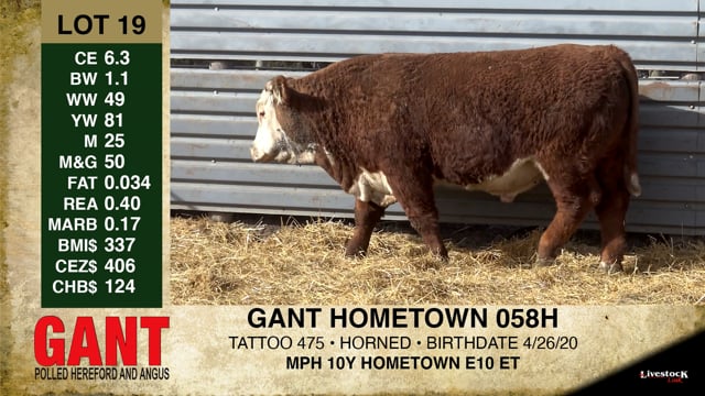 Lot #19 - GANT HOMETOWN 058H