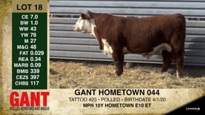 Lot #18 - GANT HOMETOWN 044
