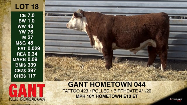 Lot #18 - GANT HOMETOWN 044