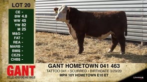 Lot #20 - GANT HOMETOWN 041 463