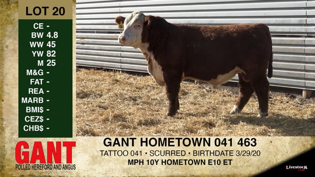 Lot #20 - GANT HOMETOWN 041 463