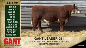 Lot #22 - GANT LEADER 051