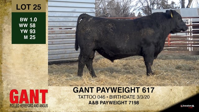 Lot #25 - GANT PAYWEIGHT 617C ***OUT OF SALE***