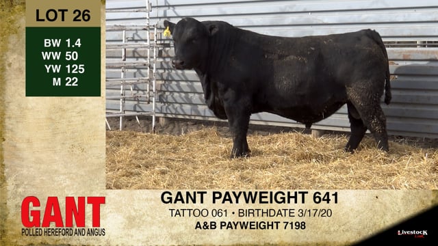 Lot #26 - GANT PAYWEIGHT 641