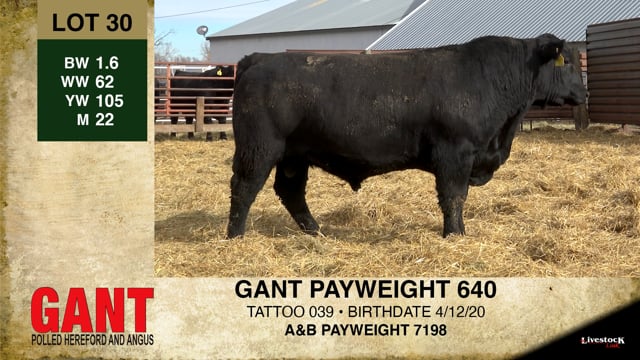 Lot #30 - GANT PAYWEIGHT 640