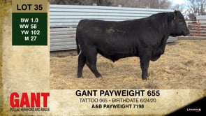 Lot #35 - GANT PAYWEIGHT 655