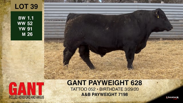 Lot #39 - GANT PAYWEIGHT 628