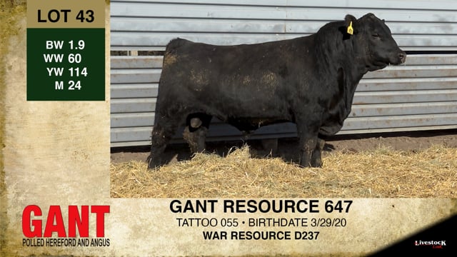 Lot #43 - GANT RESOURCE 647