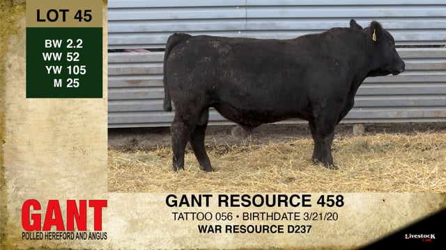 Lot #45 - GANT RESOURCE 458