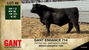 Lot #46 - GANT ENHANCE 714