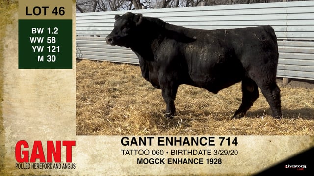 Lot #46 - GANT ENHANCE 714