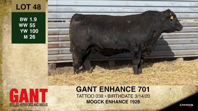 Lot #48 - GANT ENHANCE 701 ***OUT OF SALE***