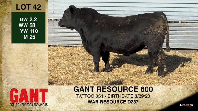 Lot #42 - GANT RESOURCE 600