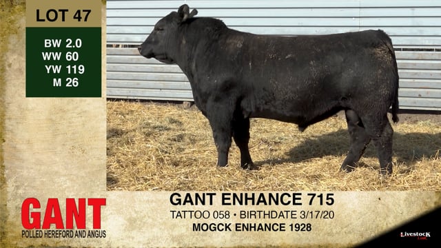 Lot #47 - GANT ENHANCE 715
