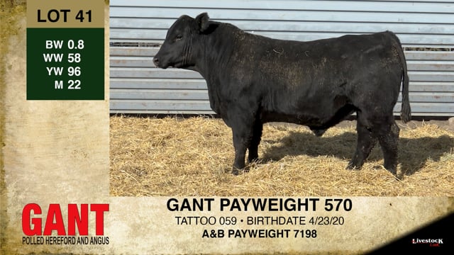 Lot #41 - GANT PAYWEIGHT 570 ***OUT OF SALE***