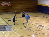 Preview Video #1