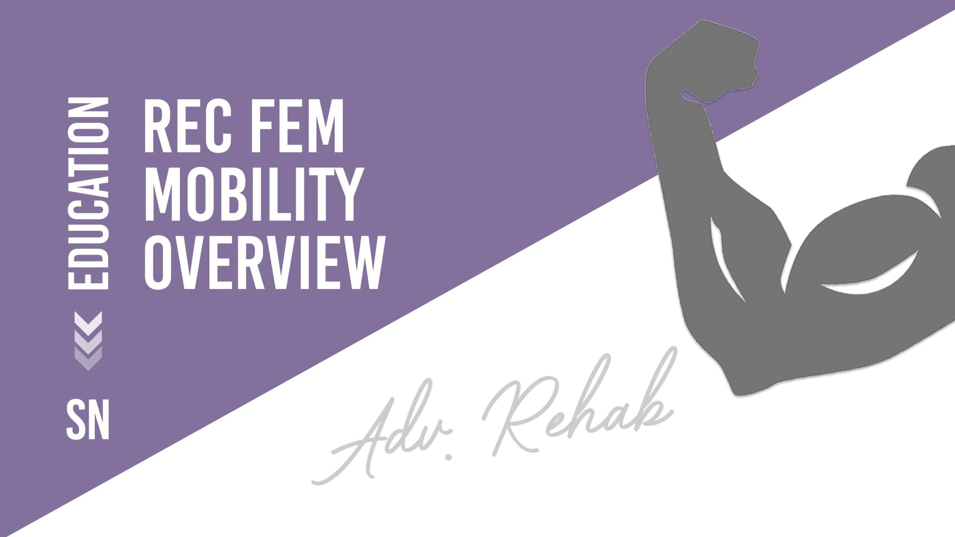 Rec Fem Mobility Overview