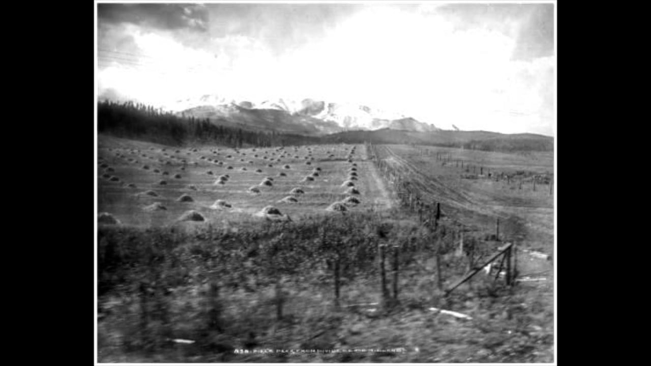 "Farming History of Divide, Colorado" by The Ute Pass Historical
