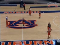 Preview Video #1