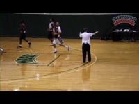 Preview Video #1