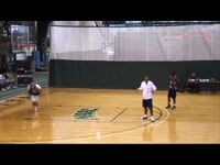 Preview Video #1
