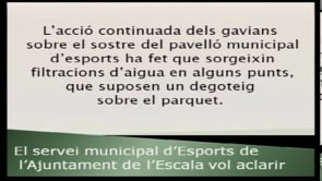 Comunicat del Servei d'Esport de l'Ajuntament