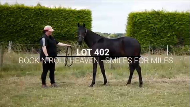 Lot 402