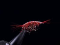 Fly tying video: Copper Shrimp