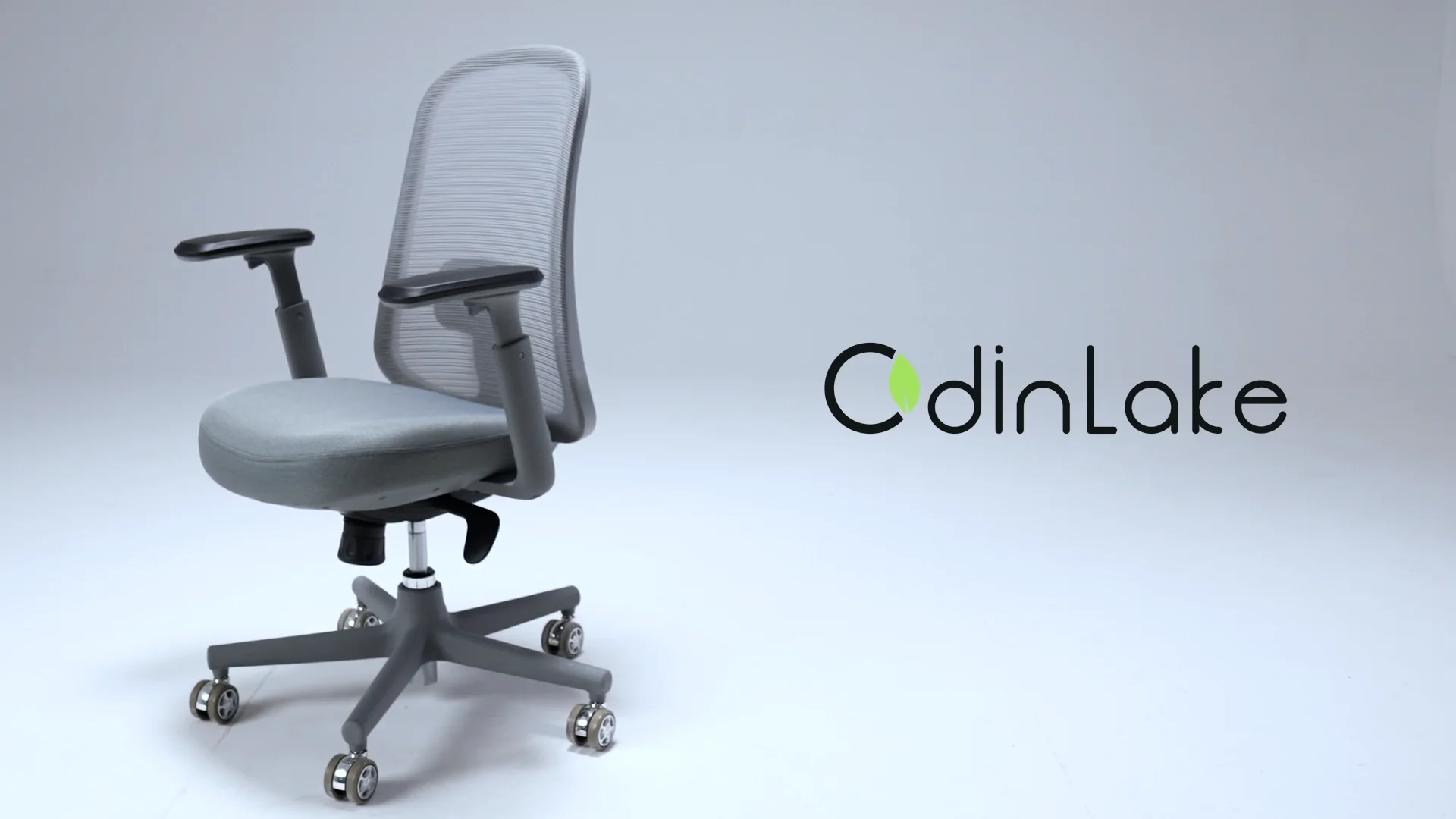 OdinLake Ergonomic Office Chair with Footrest | Ergo Pro 633