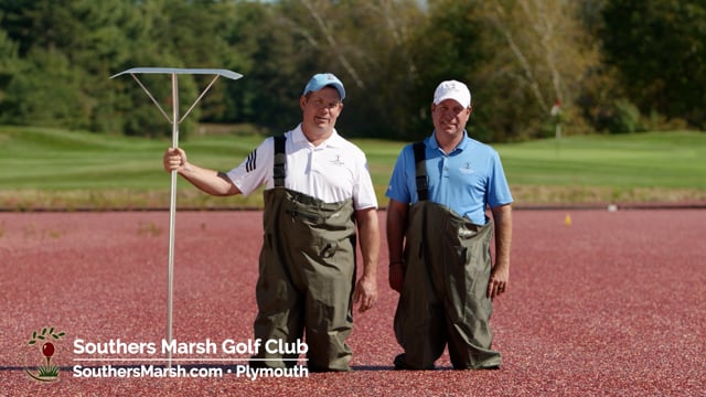 southern marsh golf polo