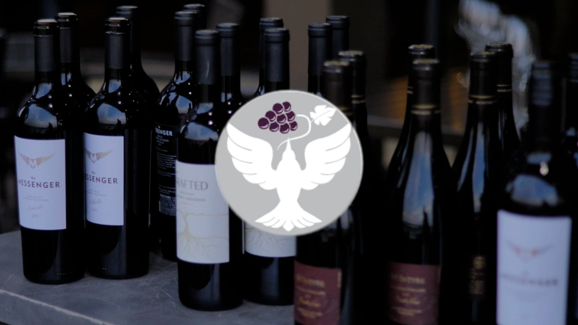 VinoVida [Instagram Promo]