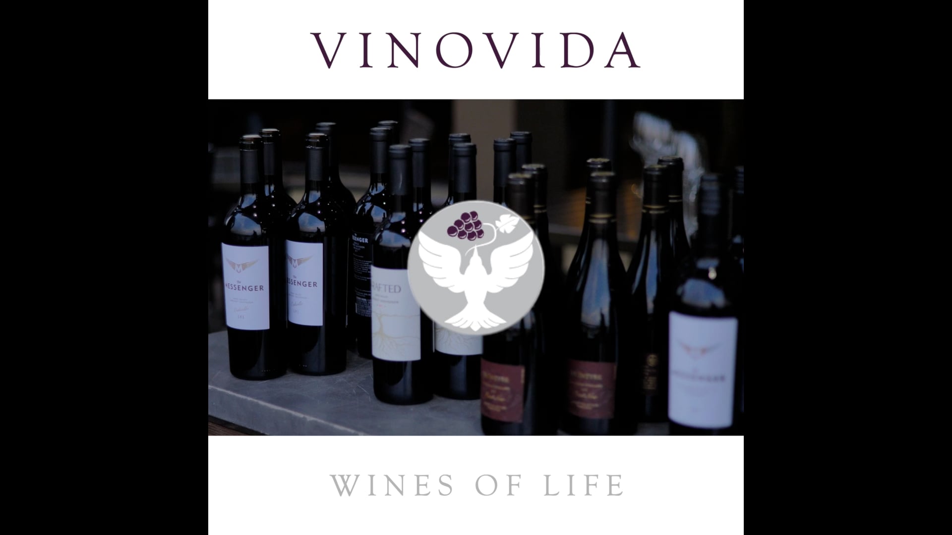 VinoVida [Instagram Promo]