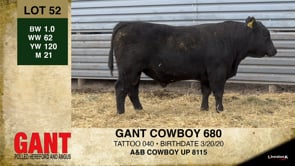 Lot #52 - GANT COWBOY 680