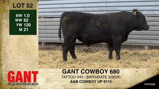 Lot #52 - GANT COWBOY 680