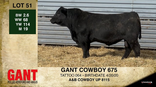 Lot #51 - GANT COWBOY 675