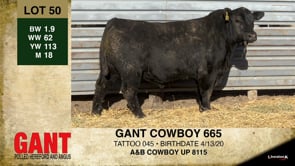 Lot #50 - GANT COWBOY 665