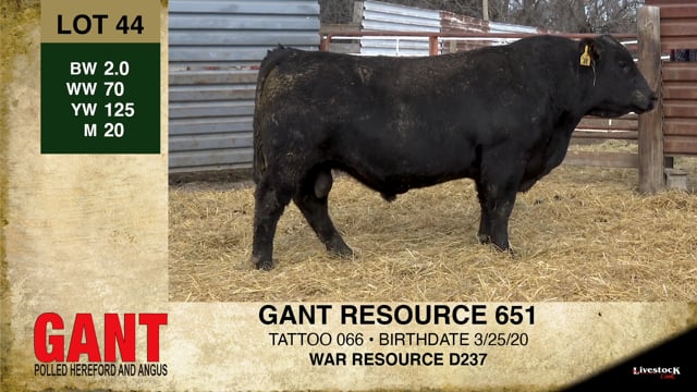 Lot #44 - GANT RESOURCE 651 ***OUT OF SALE***