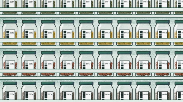 What to Know Before You Go: Maximizing Genetic Diversity in Seed Collections