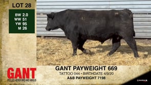 Lot #28 - GANT PAYWEIGHT 669
