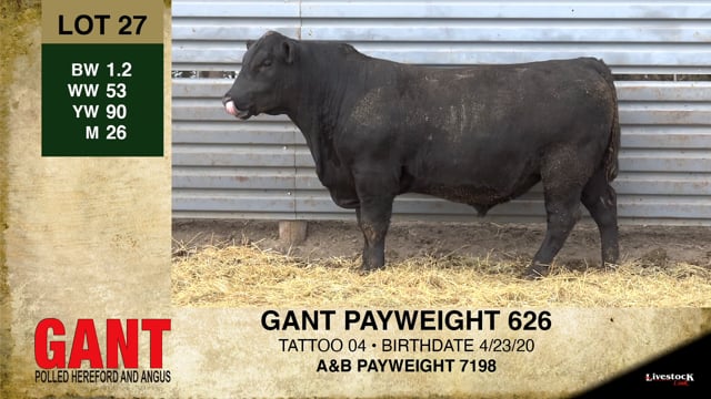 Lot #27 - GANT PAYWEIGHT 626