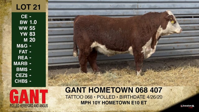 Lot #21 - GANT HOMETOWN 068 407