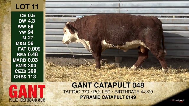 Lot #11 - GANT CATAPULT 048