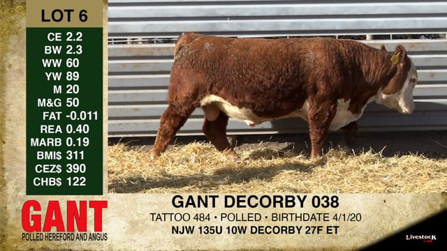 Lot #6 - GANT DECORBY 038