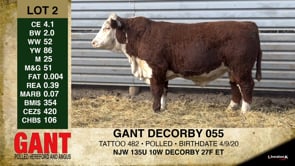 Lot #2 - GANT DECORBY 055