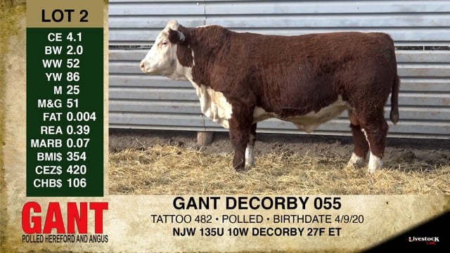 Lot #2 - GANT DECORBY 055